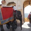 Urlaub in Indien 2016